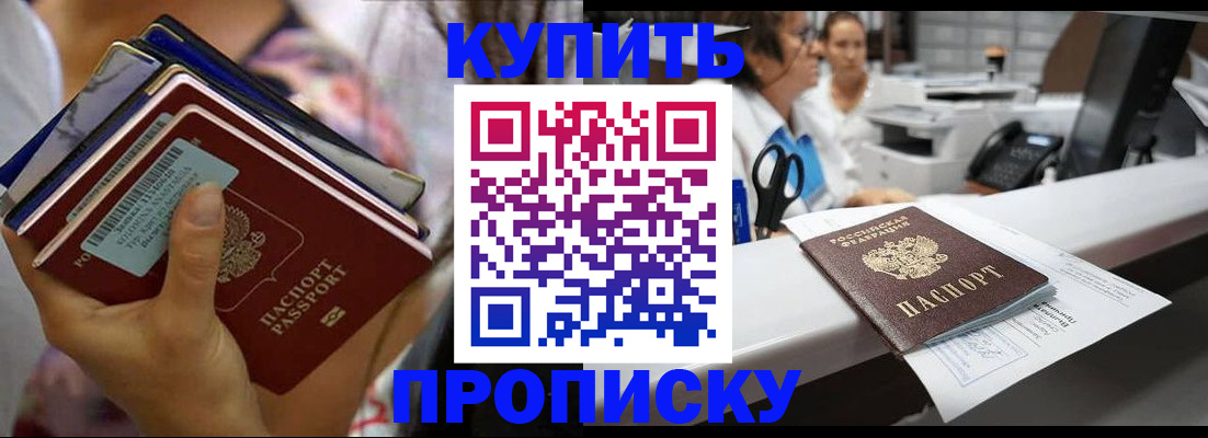 прописка для школы в Купино